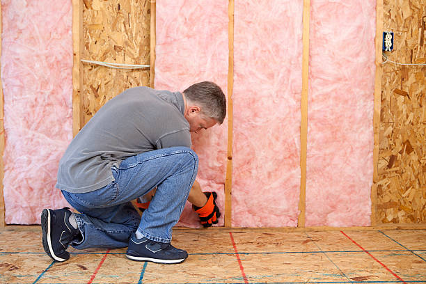 Best Insulation for New Construction  in Buchanan, NY